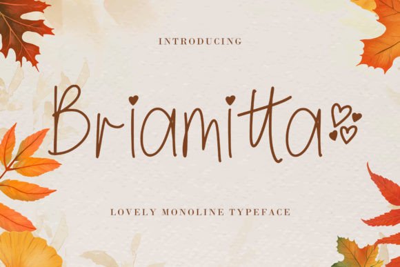 Briamitta Font for Playful Brand Identity