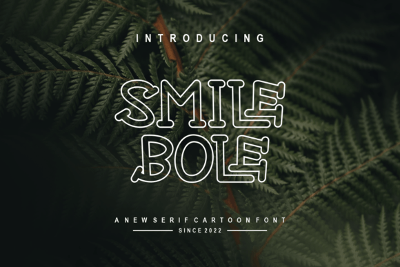 Smile Bole Typeface for Elegant Branding